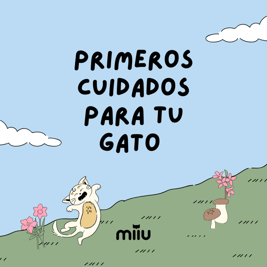 Guía Primeros Cuidados para tu Gato
