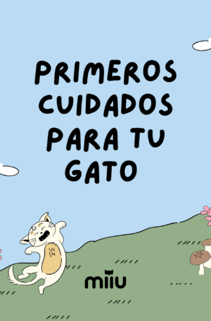Guía Primeros Cuidados para tu Gato